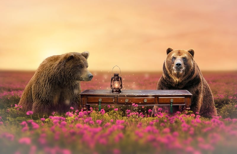 Fairy Picnics